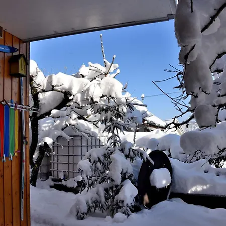 Bantles Parterre Appartement Bingen